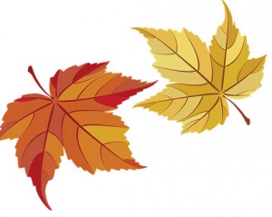 colored leaf