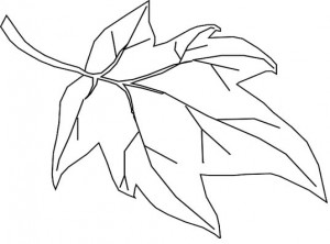 leaf outline 